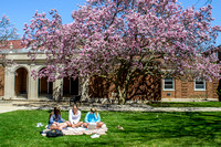 05.01.2019 - Students Under Magnolia Trees